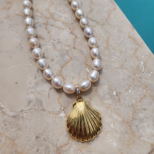 Shell Necklace