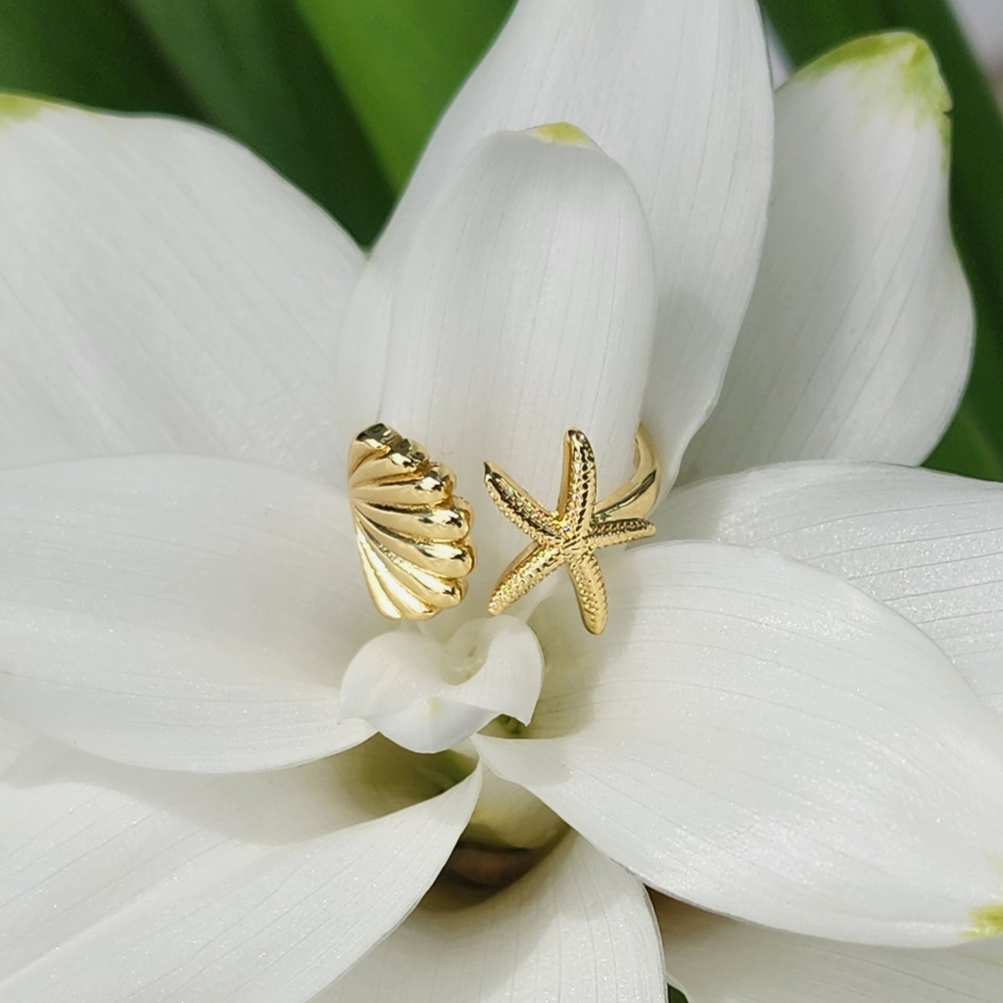 Coastal Ring